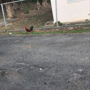 Meet your Posher, Aidan